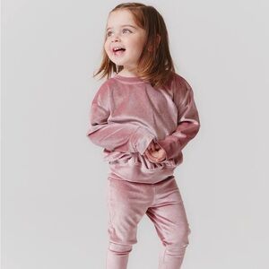 VGUC Pink Chicken Velour Sweatshirt in Mauve Sz 6
